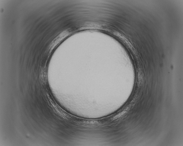 X0000081601129200702121542