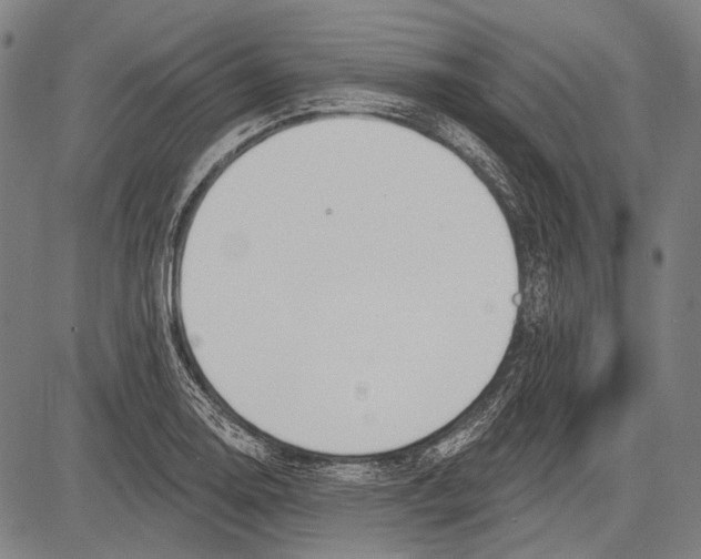 X0000081601130200702121543