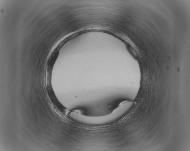 X0000081601132200702121543