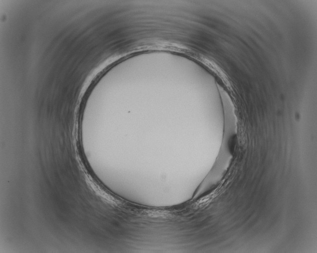 X0000081601136200702121543