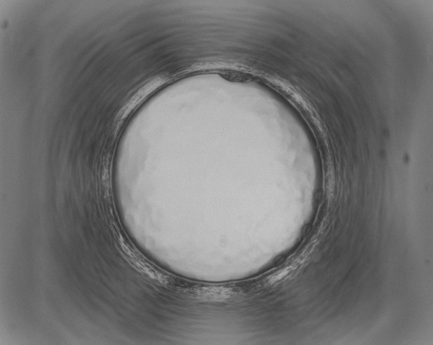 X0000081601137200702121543