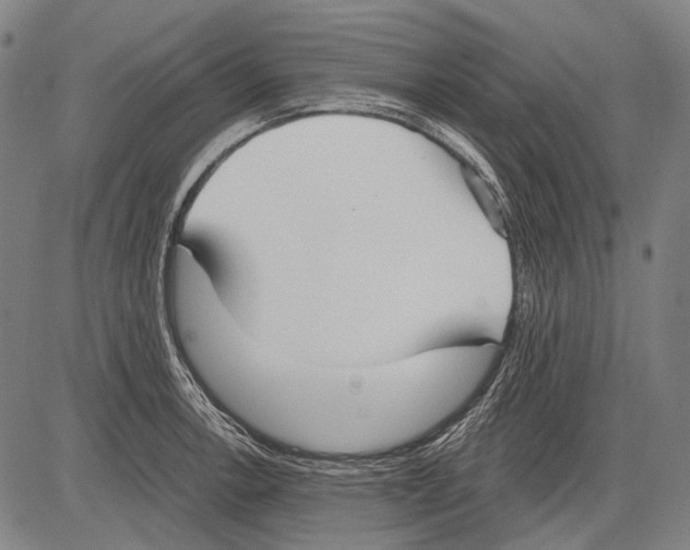 X0000081601138200702121543