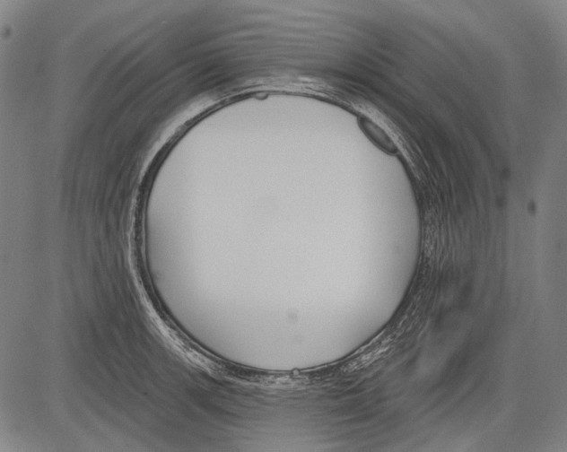 X0000081601139200702121543