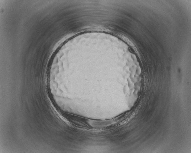 X0000081601141200702121543