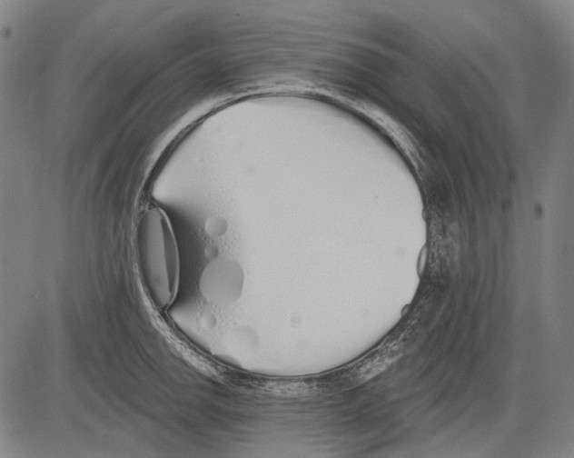 X0000081601142200702121543