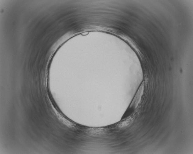 X0000081601143200702121543