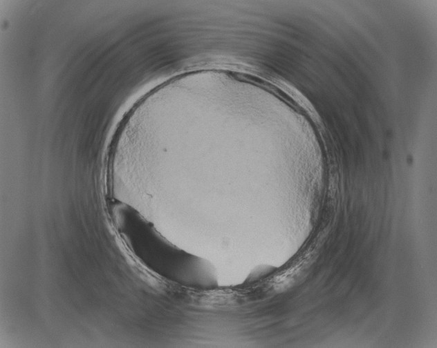 X0000081601144200702121543