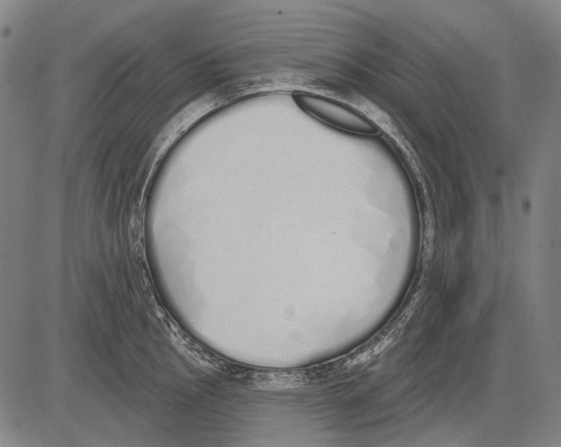 X0000081601145200702121543