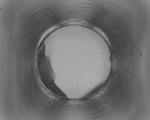 X0000081601146200702121543