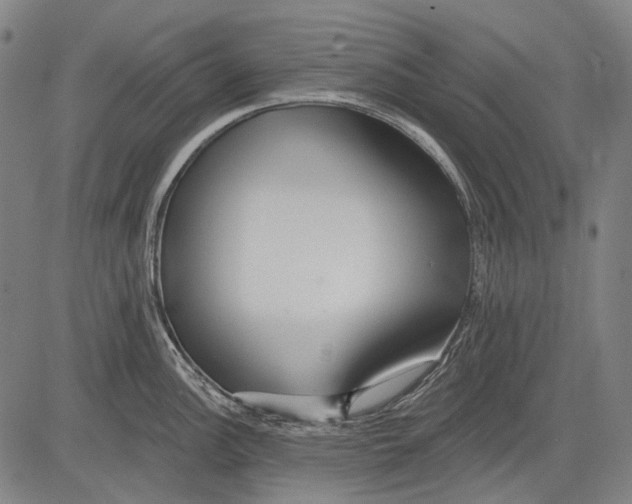 X0000081601148200702121543