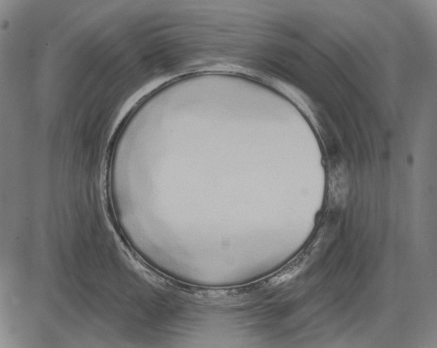 X0000081601149200702121543