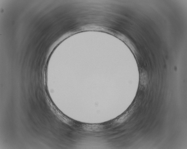 X0000081601150200702121543