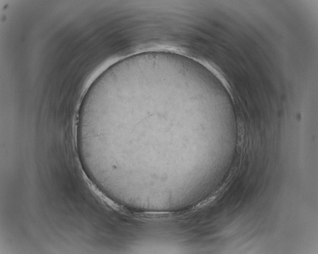 X0000081601151200702121543