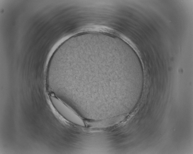 X0000081601152200702121543