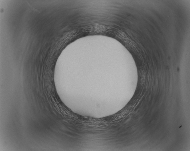 X0000081601153200702121542