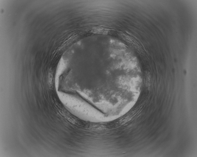 X0000081601154200702121542