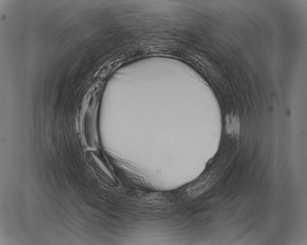 X0000081601155200702121542