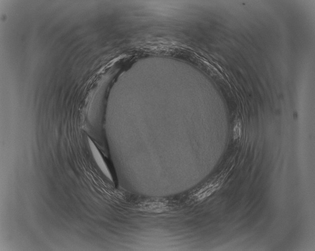 X0000081601156200702121542