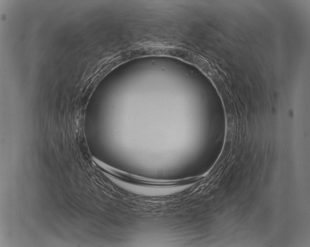 X0000081601157200702121542