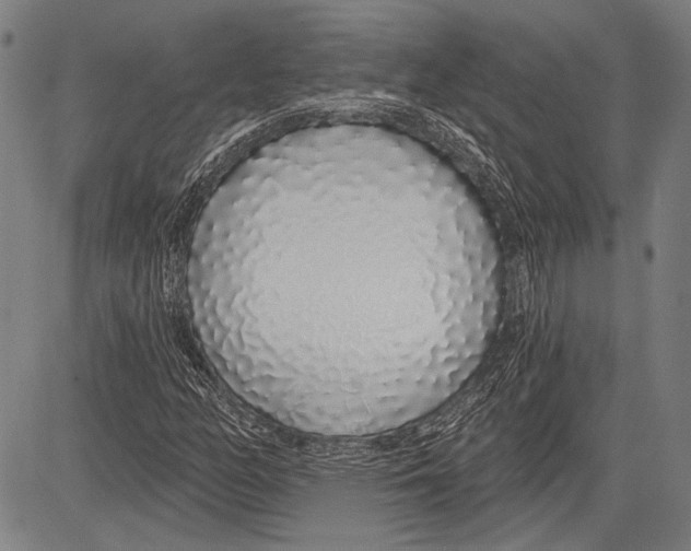 X0000081601158200702121542