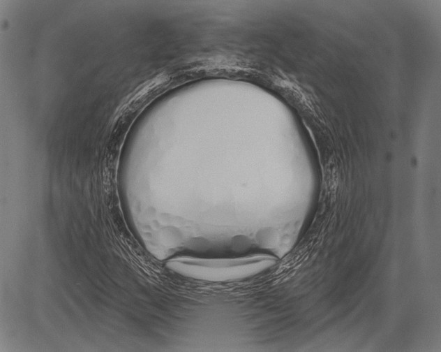 X0000081601159200702121542