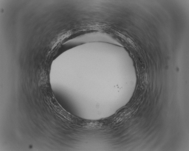 X0000081601160200702121542