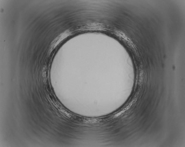 X0000081601162200702121542