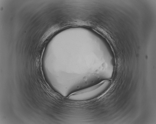 X0000081601163200702121542