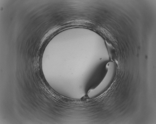 X0000081601164200702121542