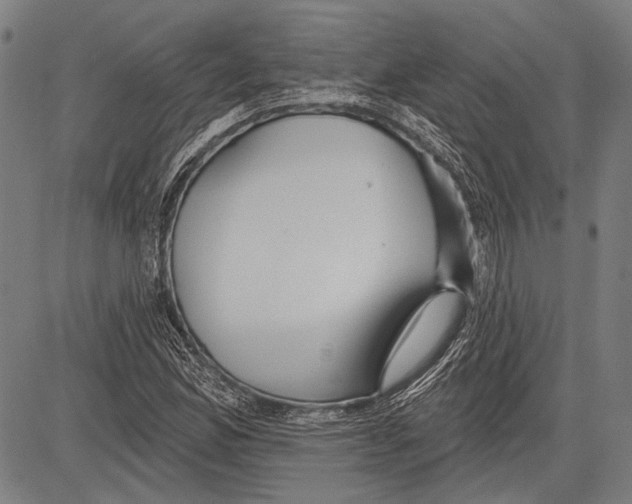 X0000081601165200702121542