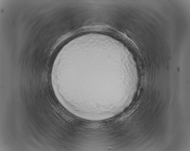 X0000081601166200702121542