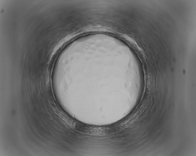 X0000081601167200702121542