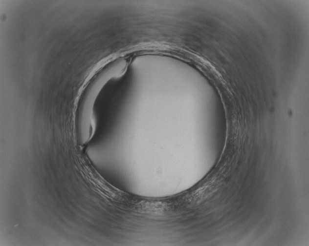 X0000081601168200702121542