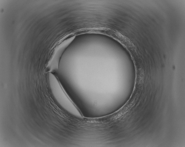 X0000081601169200702121542