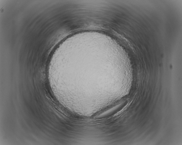 X0000081601170200702121542