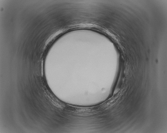 X0000081601171200702121542