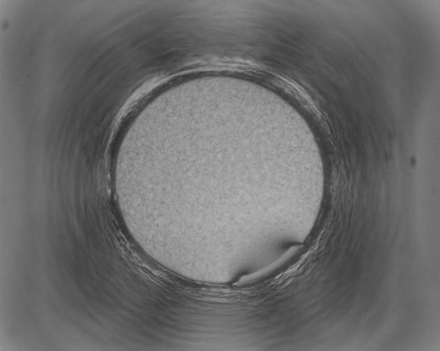 X0000081601172200702121542