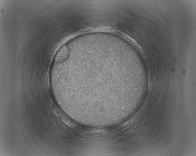 X0000081601174200702121541