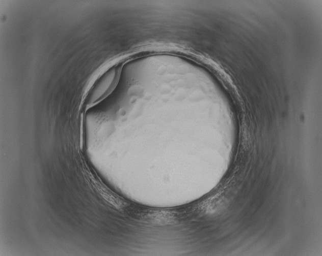 X0000081601175200702121541