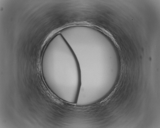 X0000081601176200702121541