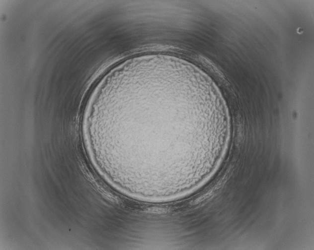 X0000081601178200702121541