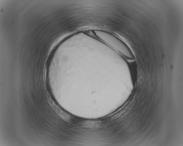 X0000081601179200702121541