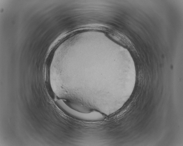 X0000081601180200702121541