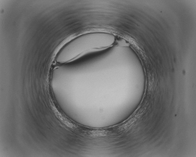 X0000081601181200702121541