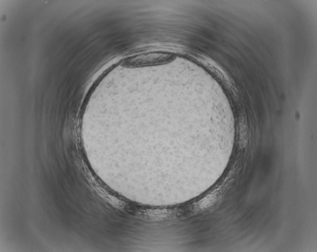 X0000081601182200702121541