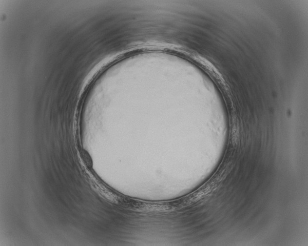 X0000081601183200702121541