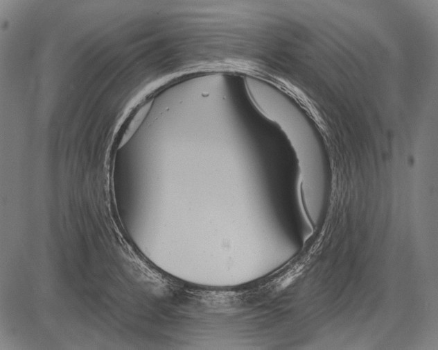 X0000081601184200702121541