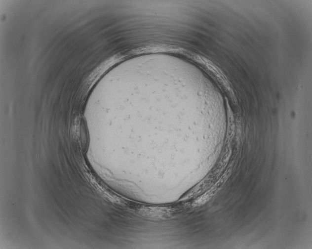 X0000081601185200702121541