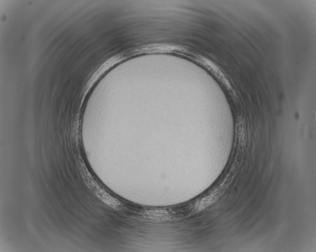 X0000081601186200702121541