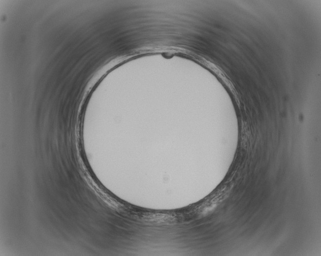 X0000081601187200702121541